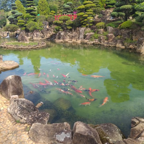 Tanque de Criação de Peixes